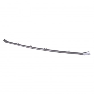 LEXUS IS350_SEDAN 2020 GRILLE MOULDING FR CENTER PTD SILVER GRAY W/O F-SPORT LX1210117